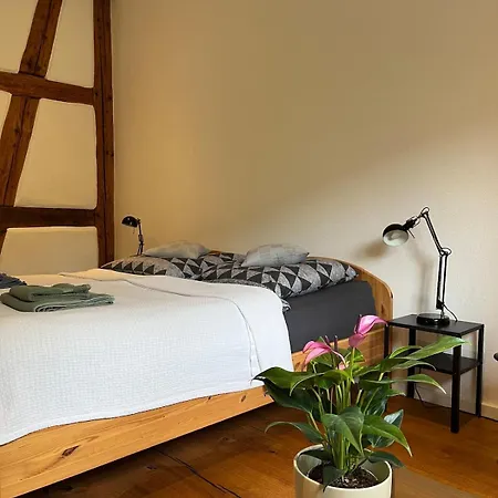 Historische Muehle Mit Grossem Garten Daire Mullheim (Baden-Wurttemberg)