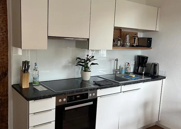 Historische Muehle Mit Grossem Garten Apartament Mullheim (Baden-Wurttemberg)