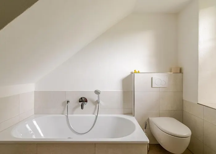 Apartament Historische Muehle Mit Grossem Garten Mullheim (Baden-Wurttemberg)